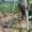IMG-20260701-WA0063