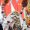 IMG-20260702-WA0106
