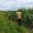 IMG-20260704-WA0016(1)