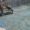 IMG-20260706-WA0064