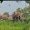 IMG-20260710-WA0056