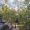IMG-20260713-WA0051