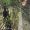 IMG-20260713-WA0077