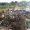 IMG-20260722-WA0115