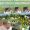 IMG-20260724-WA0099