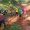 IMG-20260725-WA0144