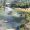 IMG-20260726-WA0042