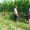 IMG-20260726-WA0088