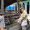 IMG-20260730-WA0111