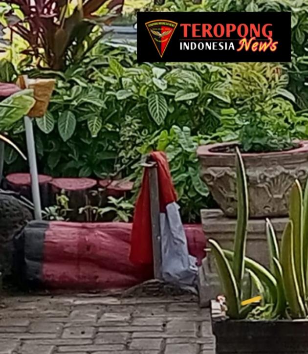 Photo_1783928340818
