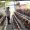 IMG-20260817-WA0139