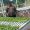 IMG-20260818-WA0120