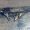 IMG-20260819-WA0099