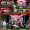 IMG-20260822-WA0211