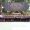 IMG-20260827-WA0110