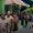IMG-20260926-WA0095