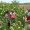 IMG-20260928-WA0075