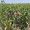 IMG-20261014-WA0048