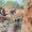 IMG-20261025-WA0039