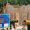 IMG-20261026-WA0055