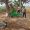 IMG-20261028-WA0027