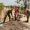 IMG-20261028-WA0221