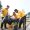 IMG-20261031-WA0103 (1)
